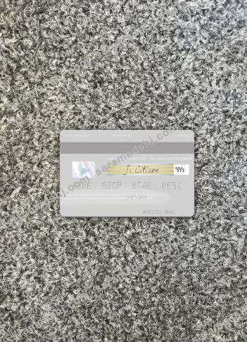 Hungary Erste Bank visa card photolook back
